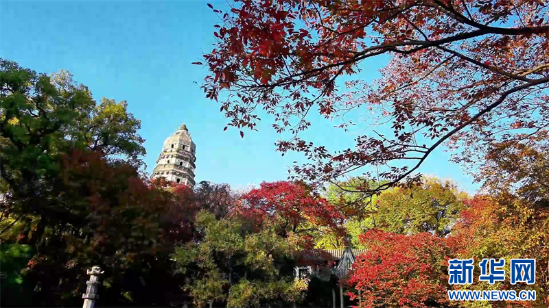江苏苏州:古城初冬 江南绝色_新华网江苏频道