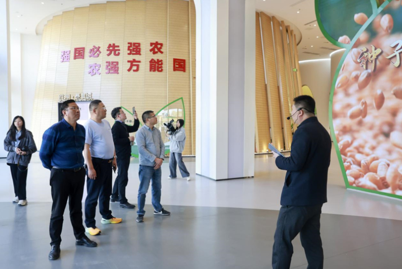 公司新闻