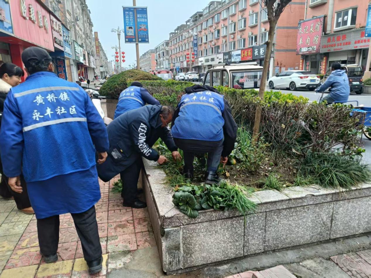 ty凤凰联盟apppecontent(图2)