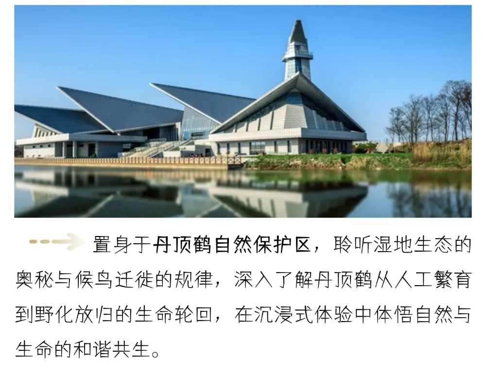 &aring;&frac34;&ccedil;