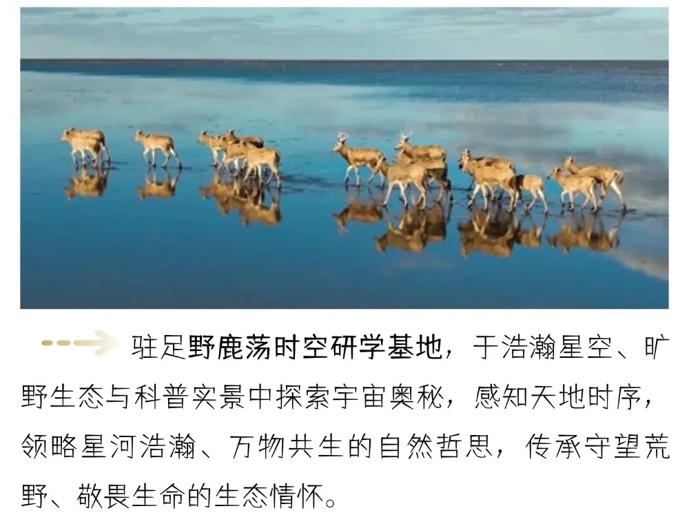 &aring;&frac34;&ccedil;