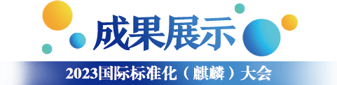 成果展示
