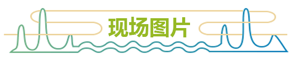 现场图片