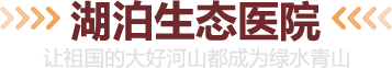 湖泊生态医院