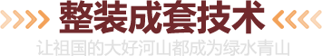 整装成套技术