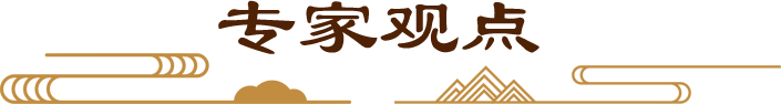 专家观点