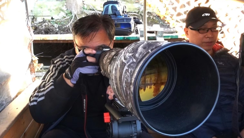 “追鳥”16年，他用鏡頭記錄下水上森林的生態之變