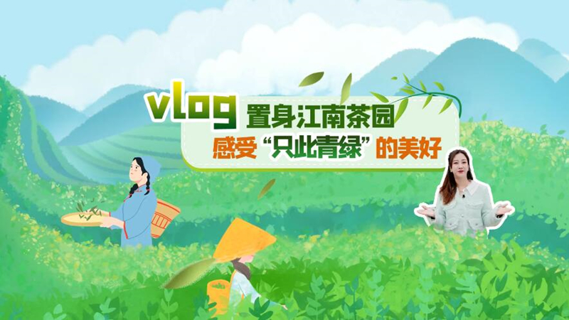 vlog｜置身江南茶园，感受 “只此青绿” 的美好