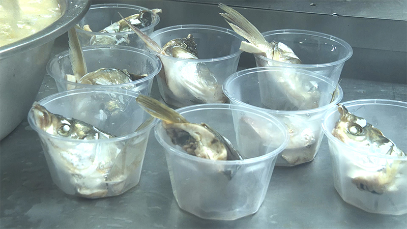 4天捕捞1080斤鱼 扬州大学烹饪“全鱼宴”请学生免费吃